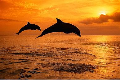 《战地6》全面揭晓在即 国外玩家已收到宣传材料