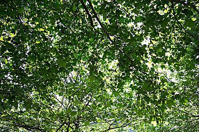 “喜加一”周报（8.29-9.4）:《暗黑地牢2》周末免费